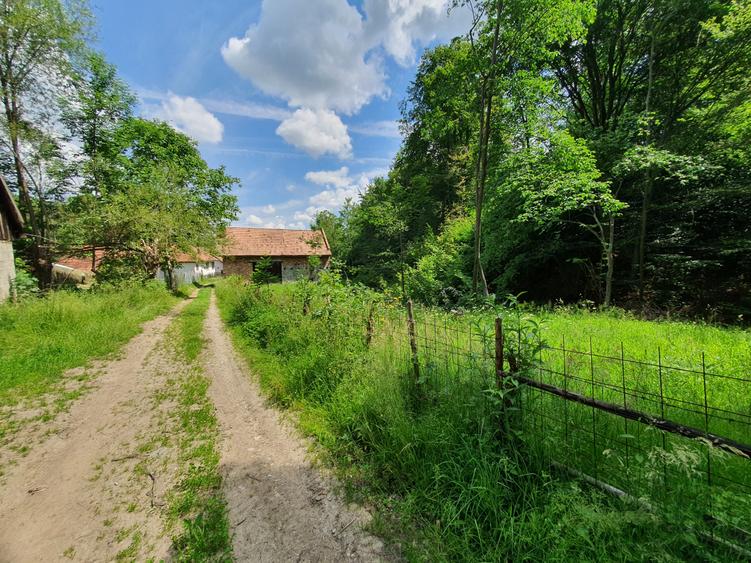 Teren Construcții intravilan de 1060 mp, în Bran