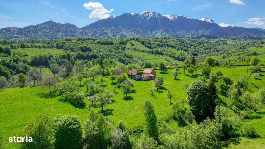 Spațiu comercial, în Bran