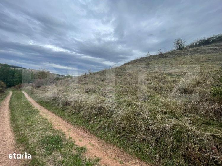 Teren de 2800 mp, în Ciugud