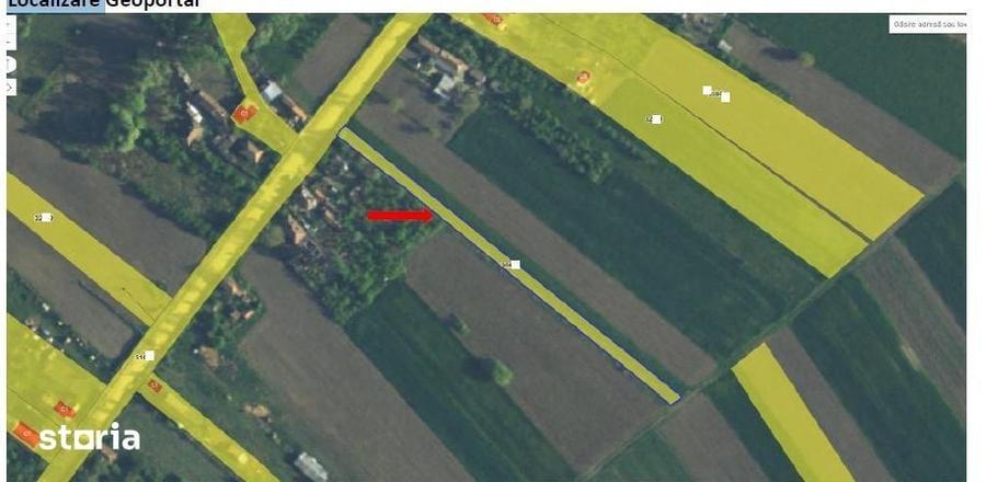 Teren de 1300 mp, în Central