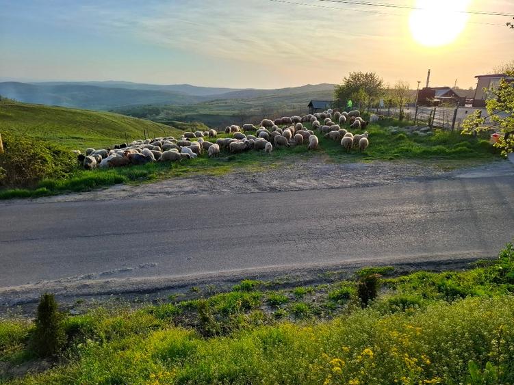 Casă individuală cu 3 camere cu Canalizare în Jugureni