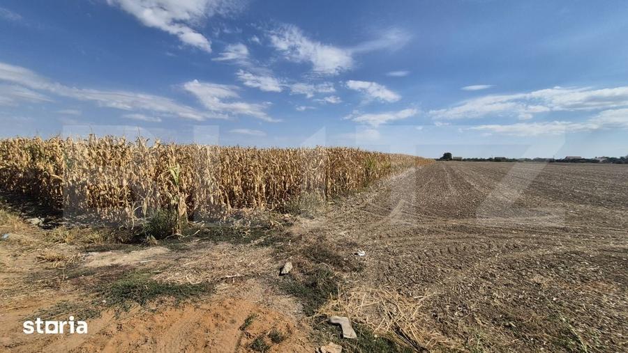 Teren extravilan de vanzare, 19.700 mp, pe centura Botizului - 2