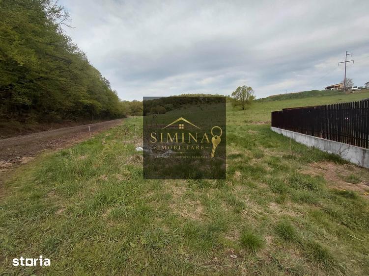 Teren de 800 mp, în Păsăreni