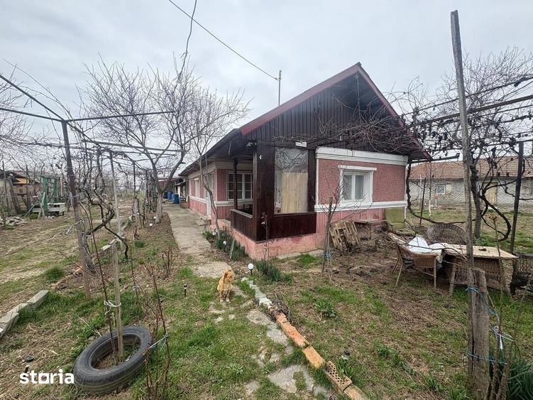 Teren 1300 mp + Casa din caramida | Merii Petchii, Ilfov - 4