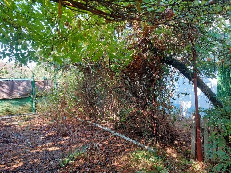 Casă cu 4 camere în Slava Rusă