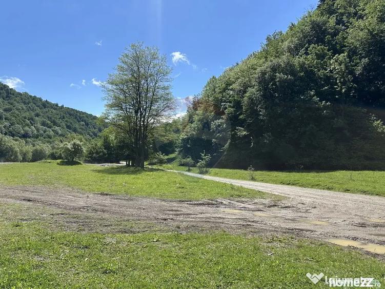 Teren de 1340 mp, în Cuejdiu