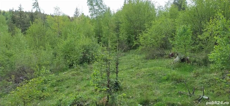 Teren de 6044 mp, în Călățele