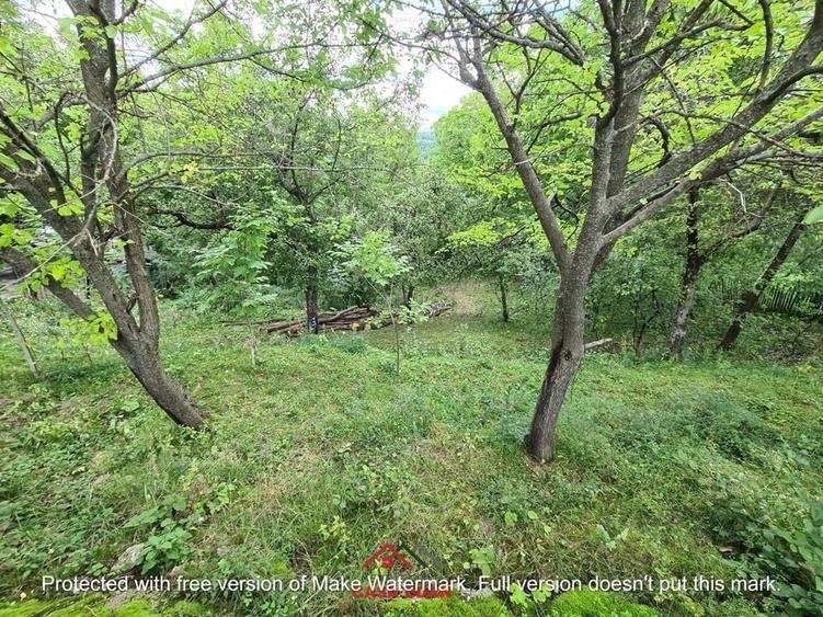 Casă cu 3 camere cu Teren 3073 Mp în Telega