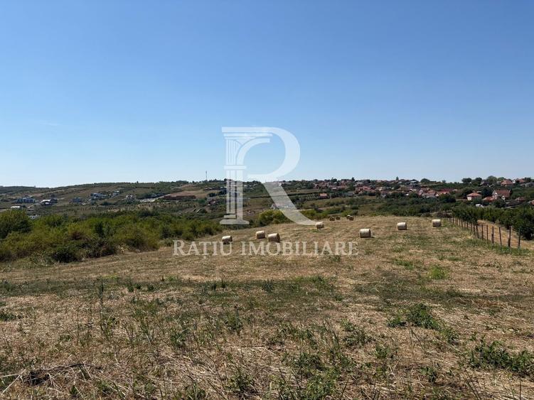 Teren Construcții intravilan de 6355 mp, în Nord
