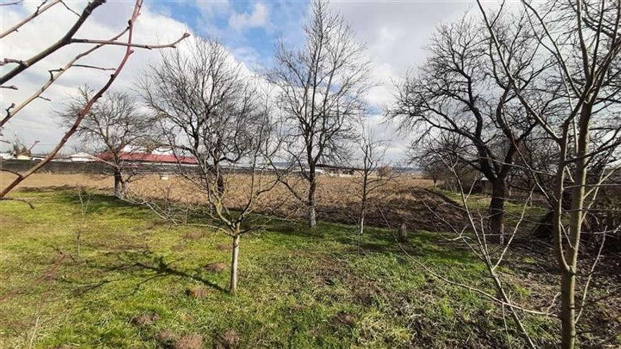 Teren Construcții intravilan de 11200 mp, în Nazna