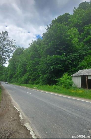 Vanzare 15000 mp,pretabil hotel - pensiune la munte , TARGOVISTE - SINAIA,140 ML la DN71,utilitati - 1