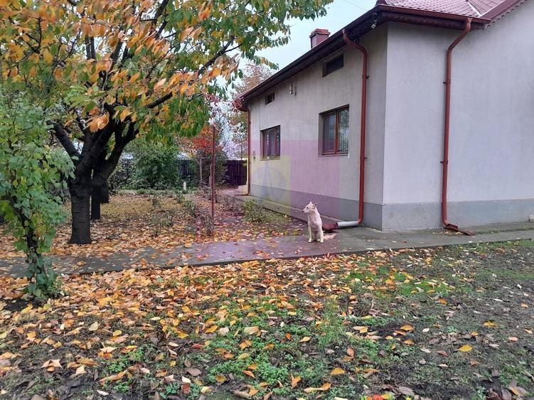 Casă cu 7 camere cu Teren 1500 Mp în Islaz