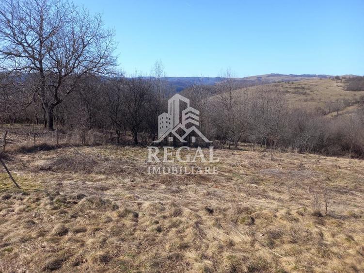 Două case de vânzare – Cerisor – teren generos 6996 mp - 13