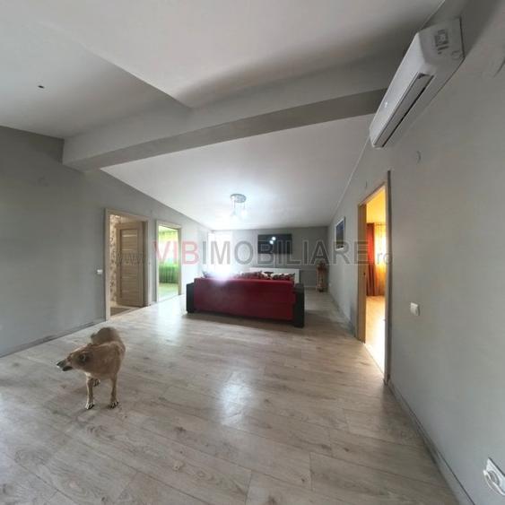Casă cu 9 camere cu Piscina în Dristor