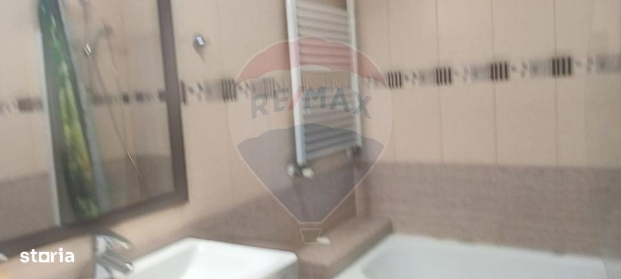 Apartament cu 2 camere de inchiriat Bloc Nou -ARED zona Banu Maracine - 20
