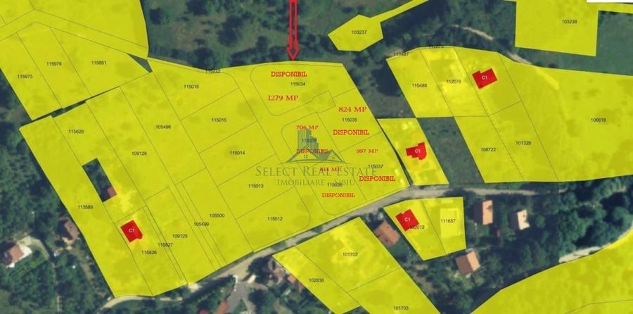 Teren Construcții intravilan de 706 mp, în Cisnădioara