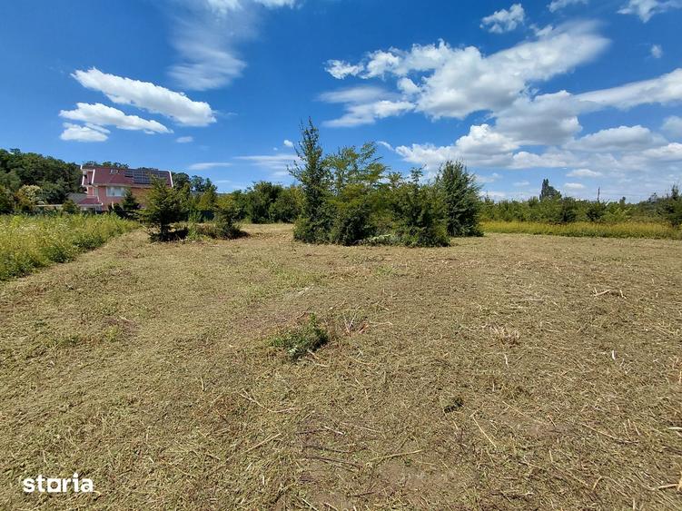 inchiriere 1300mp teren Baneasa Teisani - 2