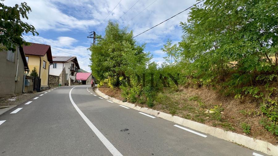 Teren agricol extravilan de 4000 mp, în Cricău