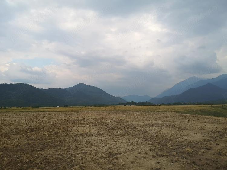 Teren de 7000 mp, în Central