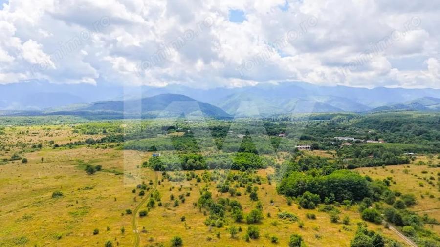 Teren extravilan de vanzare - Valea Avrigului, Sibiu - 13