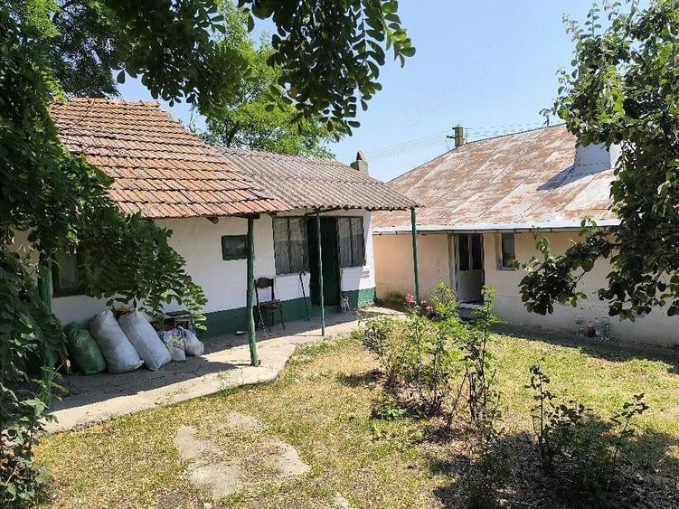 Casă cu Teren 1116 Mp în Bâra