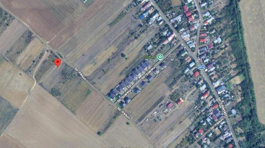 Teren Construcții intravilan de 1434 mp, în Cernica