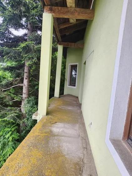 Casă cu Teren 5500 Mp în Peciu Nou