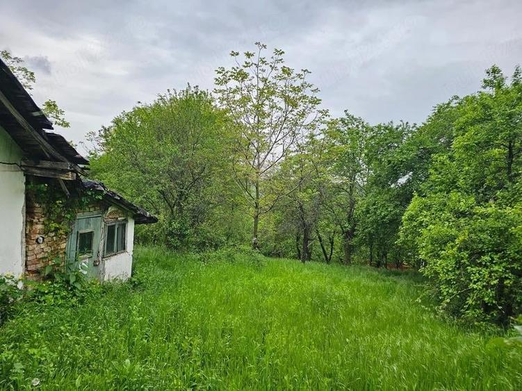 Teren de 3000 mp, în Central