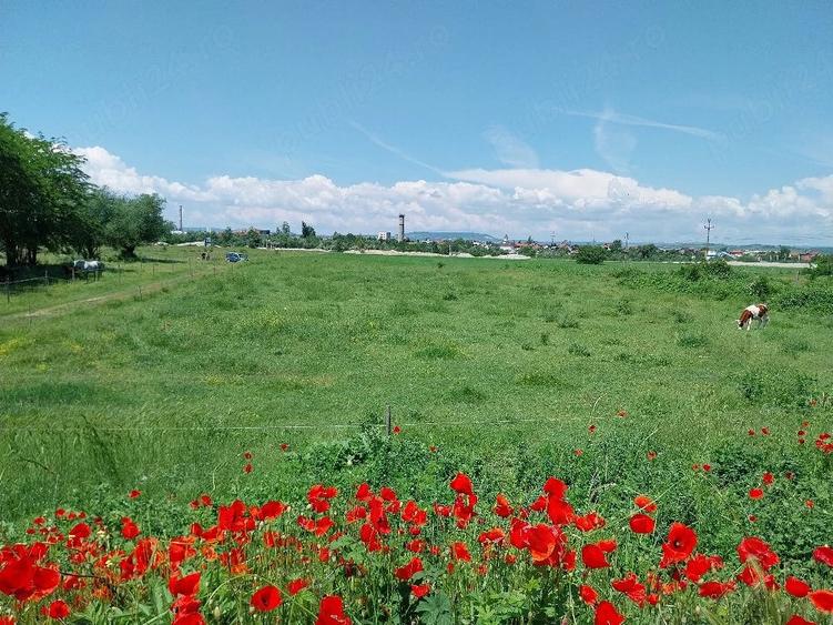 Teren de 3700 mp, în Central