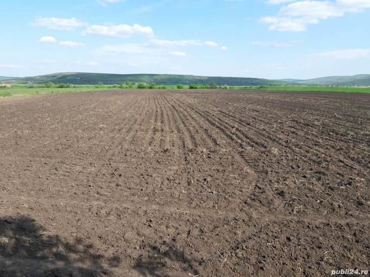 Teren de 7800 mp, în Central