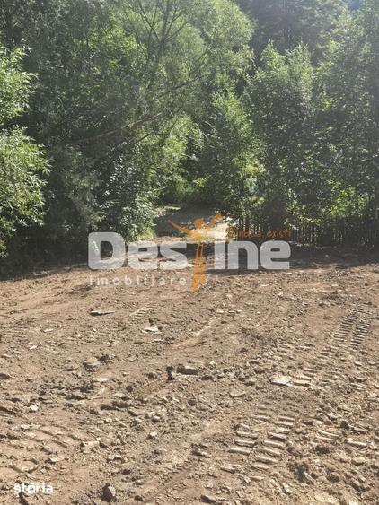 Teren Valea Doftanei, zona Pe Vale - Baraj Paltinu - 11