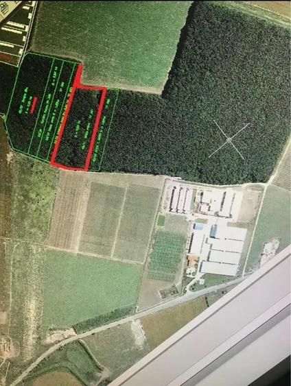 ???? Padurea Strava 2,5 ha | Afuma?i ?indrili?a | Pioneer - 1