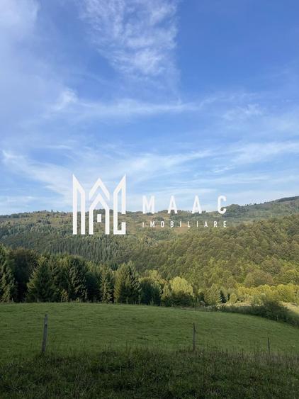 Teren Construcții intravilan de 14242 mp, în Sohodol