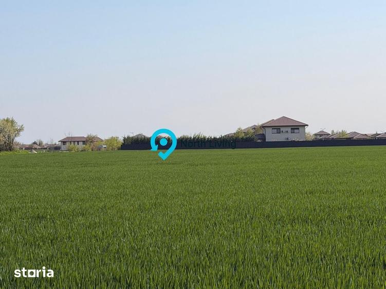 Teren de 10000 mp, în Balotești