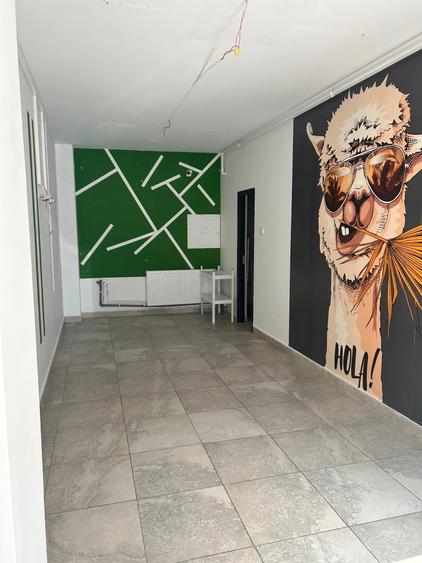 Spațiu comercial, de 25 mp, în Drumul Taberei