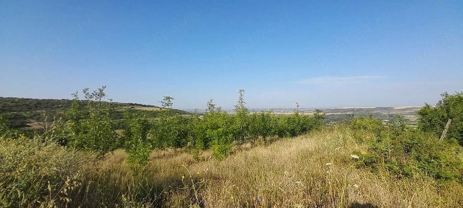 Teren de 1400 mp, în Șimnicu de Sus