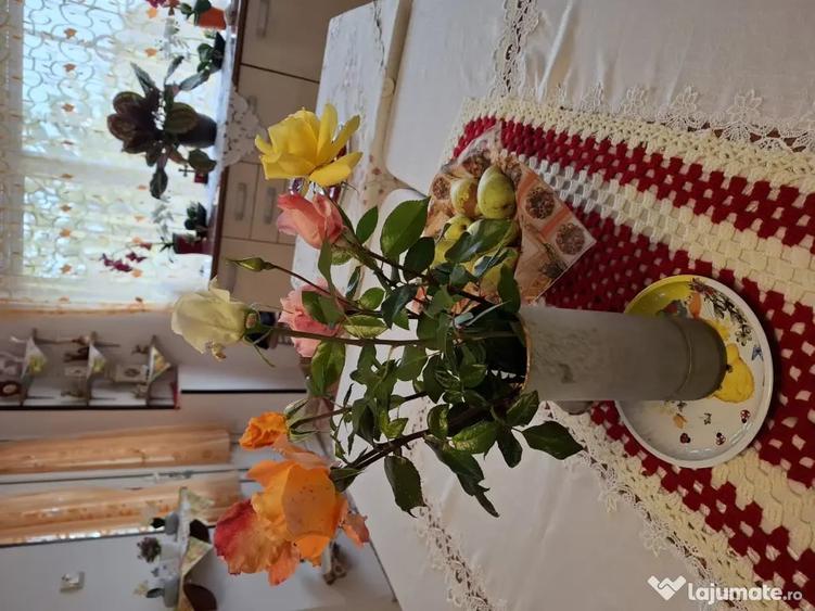 Casă cu 4 camere în Ghioroc