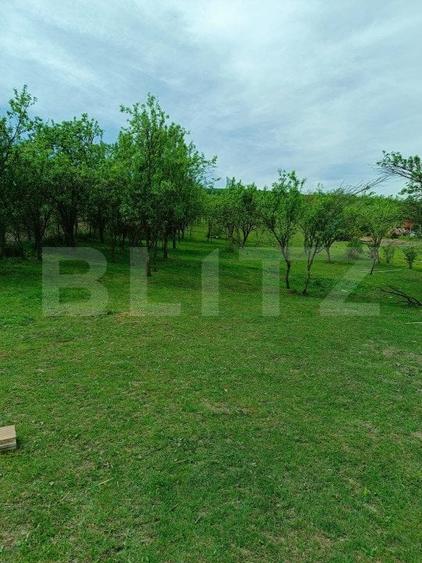 Teren agricol intravilan de 3000 mp, în Central