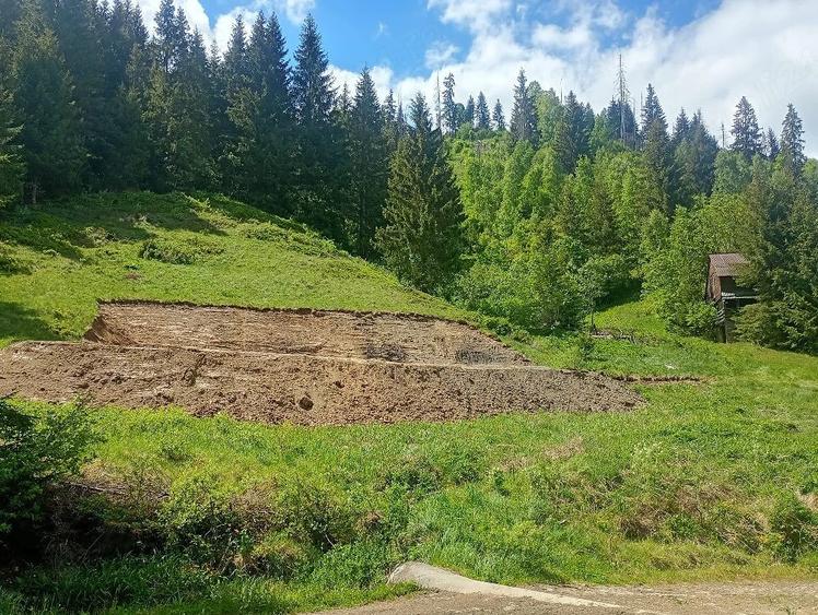 Teren de 3100 mp, în Muntele Băișorii