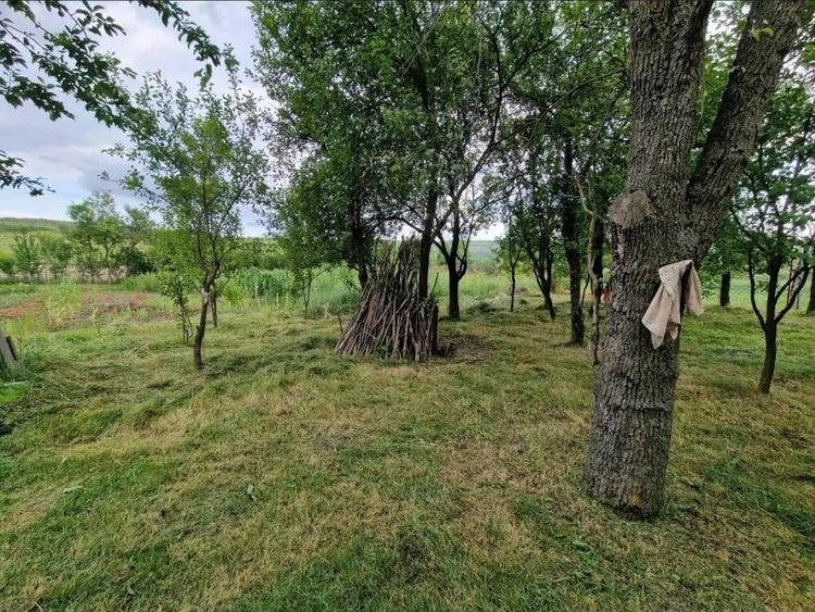 Teren de 1573 mp, în Central