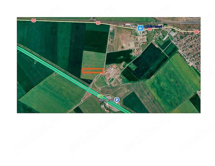 Teren de 15000 mp, în Borcea