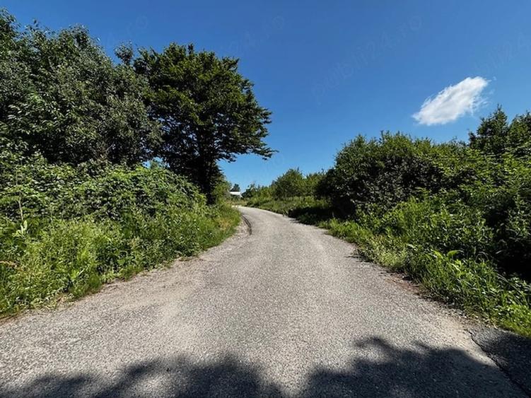 Teren de 3100 mp, în Dăești