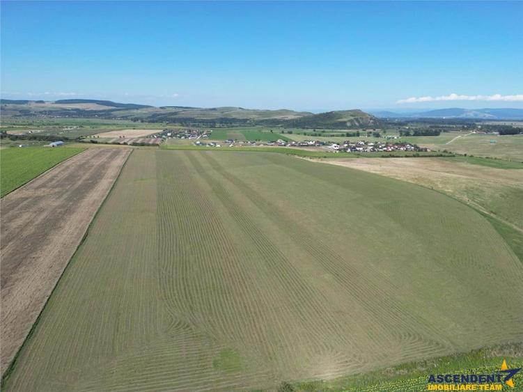 Parcela de teren 503 mp, Bod-Sanpetru - 4