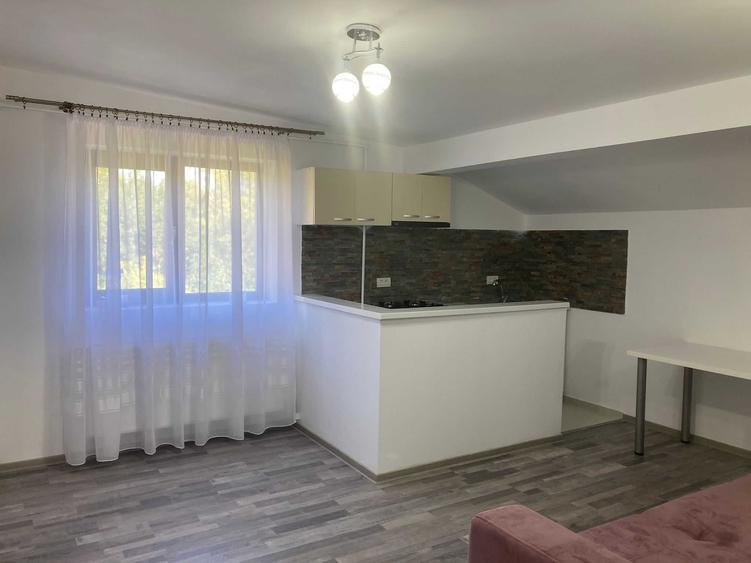Apartament 2 camere Piata Gorjului - 5