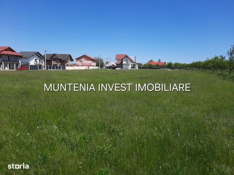 Spațiu comercial, în Albota
