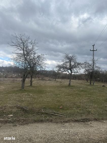 Teren de 4400 mp, în Voila