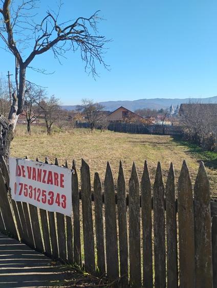 Teren de 830 mp, în Central