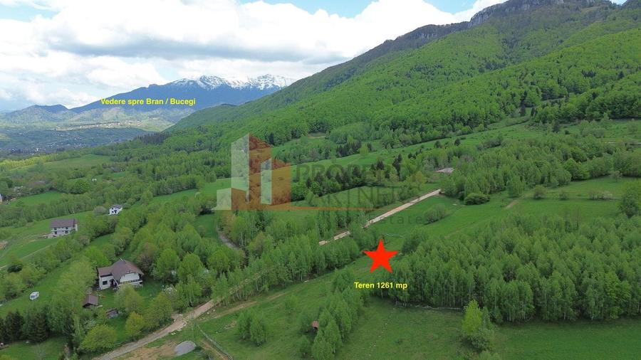 Teren Construcții intravilan de 5261 mp, în Tohănița