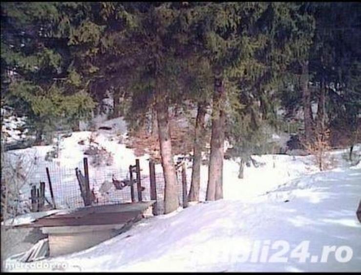 Teren de 417 mp, în Cioplea