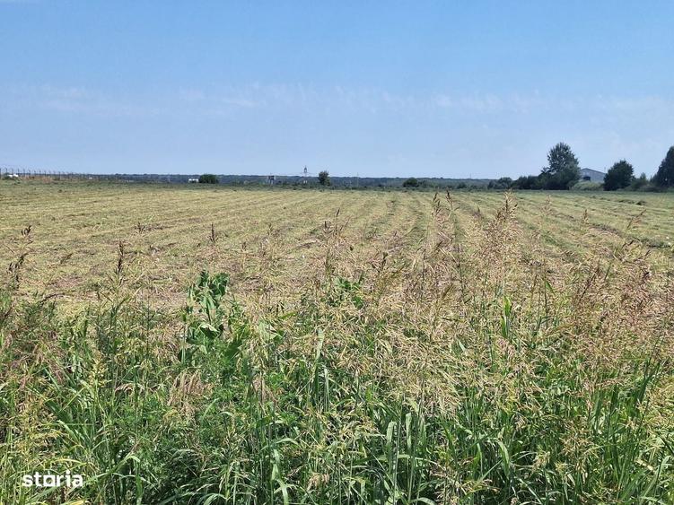 Teren de vanzare 23.298 mp | Ciorogarla, Ilfov |Acces rapid A1 si A0 - 2